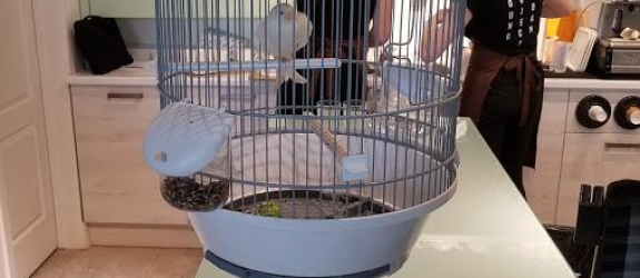 Кофейня You Coffee фото