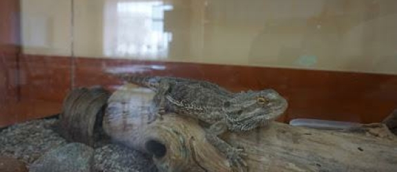 Минский областной клинический центр Психиатрия–наркология фото