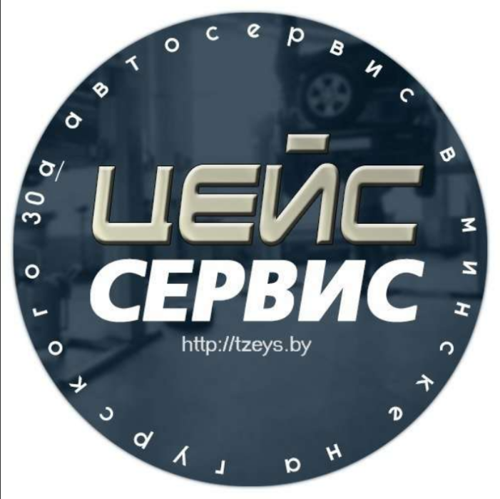 Тесла сервис минск